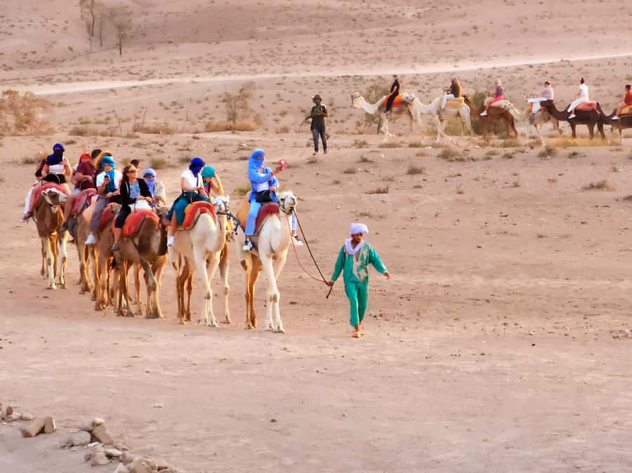 Marrakech: Agafay Camel Ride & Dinner with Fire Show Tour - Moroccan dinner under open skies