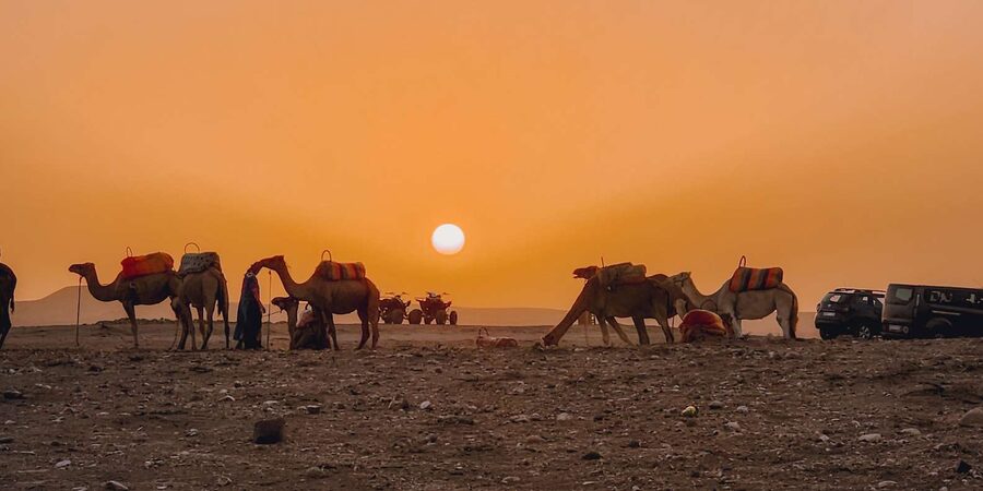 Marrakech: Agafay Camel Ride & Dinner with Fire Show Tour - Is $28 good value?