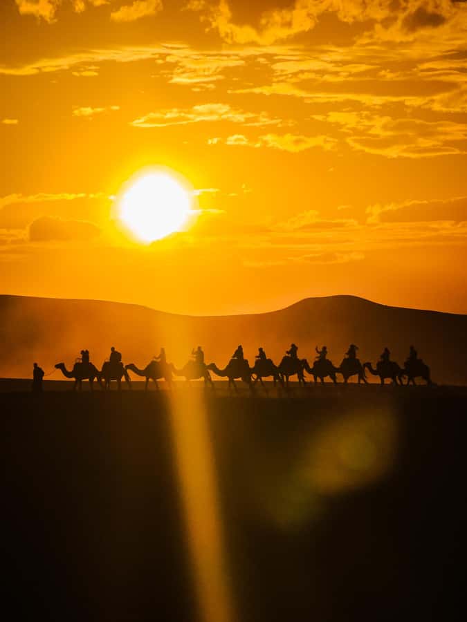 Marrakech: Agafay Camel Ride & Dinner with Fire Show Tour - The argan oil cooperative visit