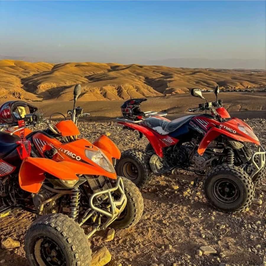 Marrakech: Agafay Desert Camel, Quad Bike & Dinner Show - Gnawa rhythms, dancing, and the fire finale