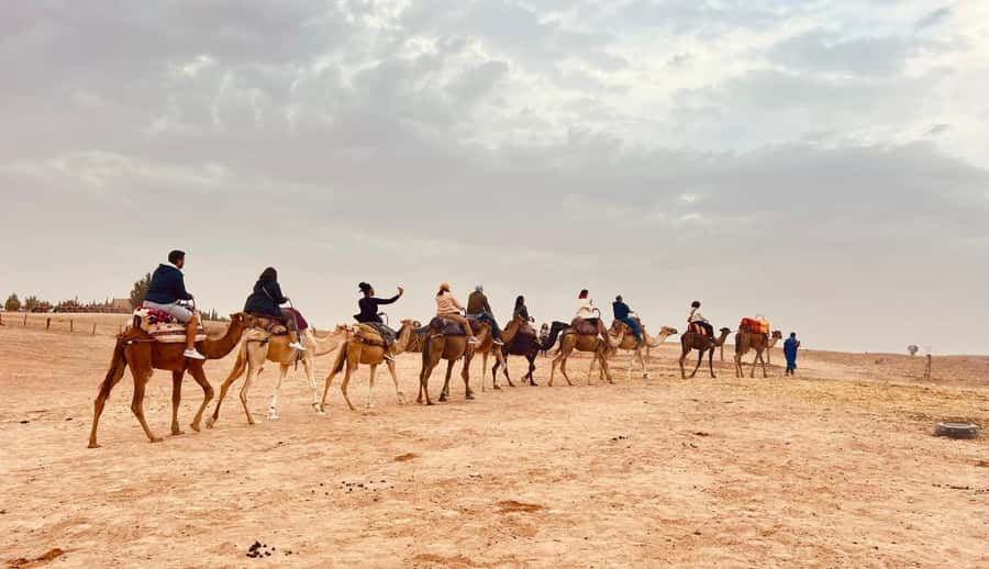 Marrakech: Agafay Desert Camel Ride, Dinner, Fire Show - Is the $15 price really good value?