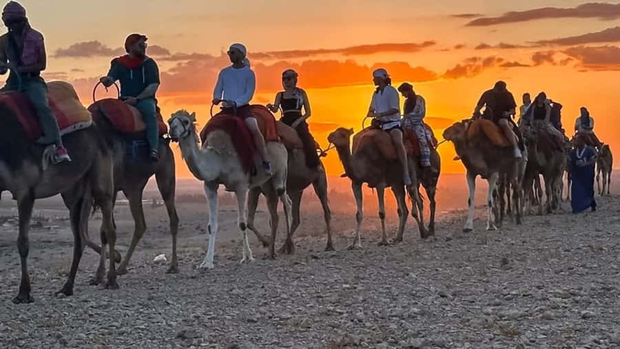 Marrakech: Agafay Desert: Camel ride Quad Bike, Dinner show - Guides, transport, and the feel of the day