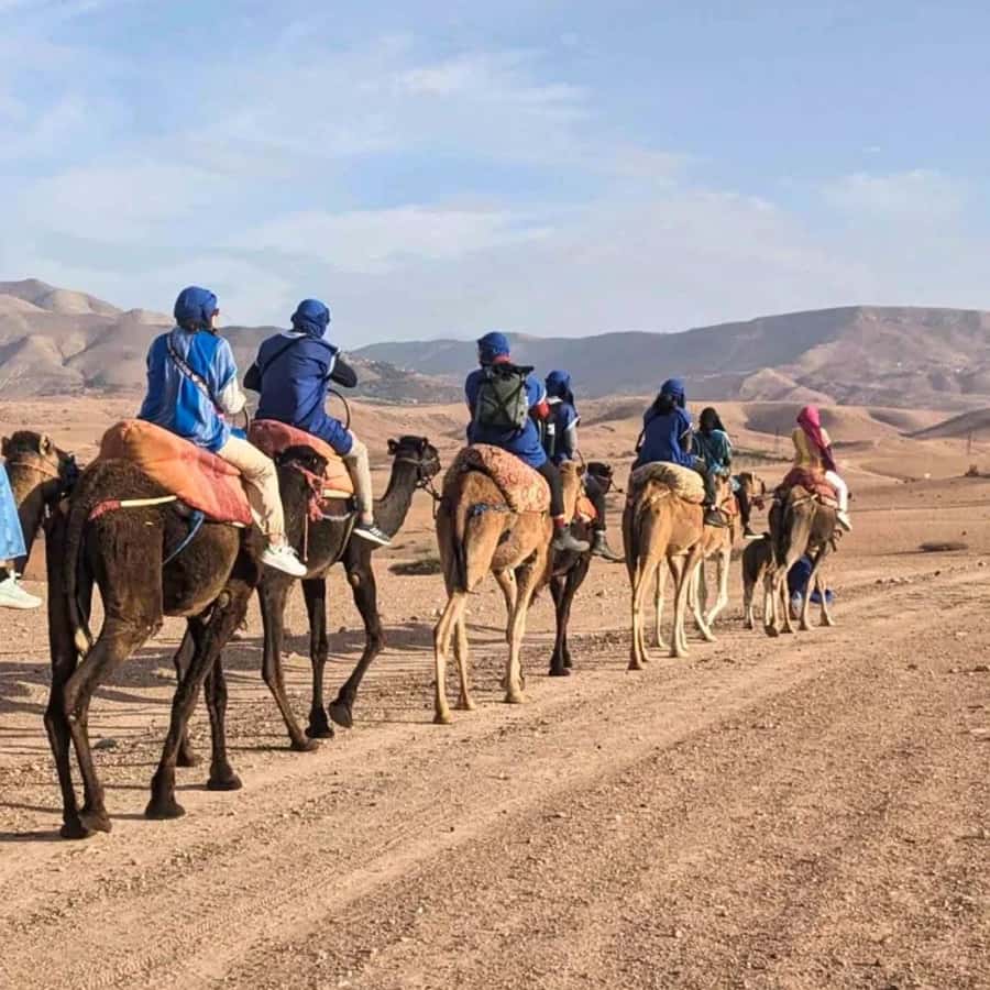 Marrakech: Agafay Desert Camel Ride & Quad with Dinner Show - Amazigh music and the fire show close the evening