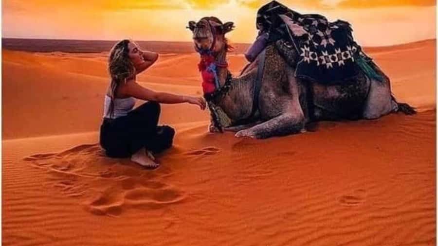 Marrakech Agafay desert: Camel Ride, Sunset, Dinner show - Berber Music Around the Bonfire