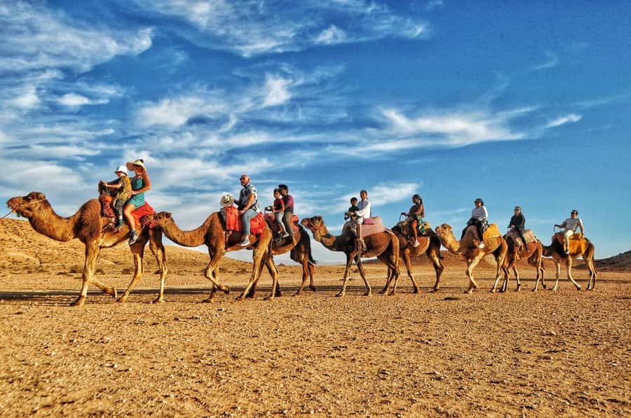 Marrakech Agafay desert: Camel Ride, Sunset, Dinner show - Guides, Languages, and Group Care