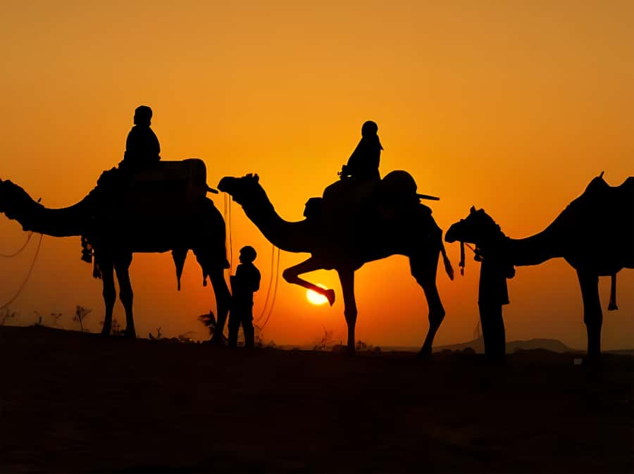 Marrakech: Agafay Desert Camel Ride with Dinner & Show - Guides, drivers, and the human side of the trip