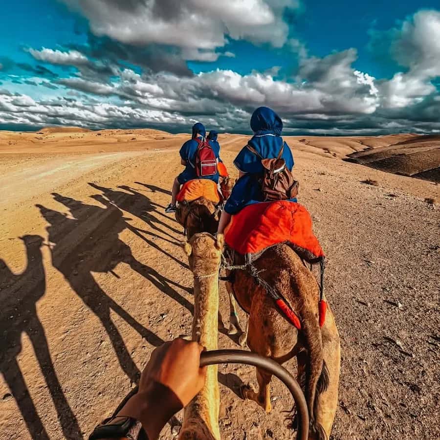 Marrakech: Agafay desert camel ride with dinner & spectacle - Agafay’s rocky hills and distant Atlas views