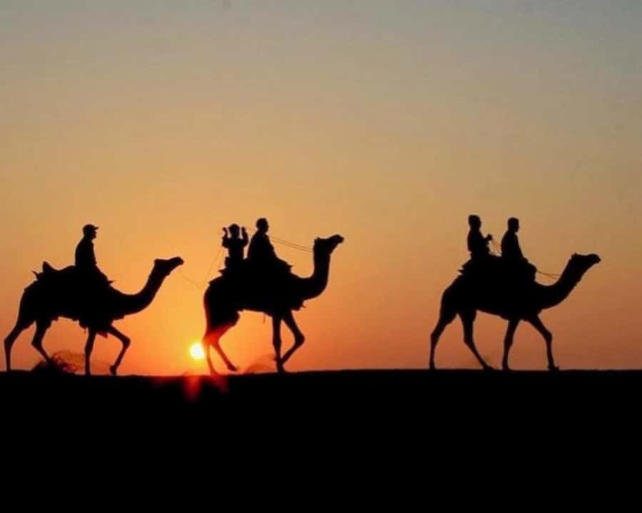 Marrakech: Agafay Desert Camel Rides, Dinner and Fire Show - Camel riding as the sun changes color