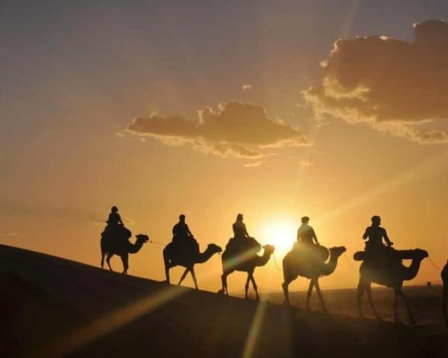 Marrakech: Agafay Desert Camel Rides, Dinner and Fire Show - Quad biking across the open ground