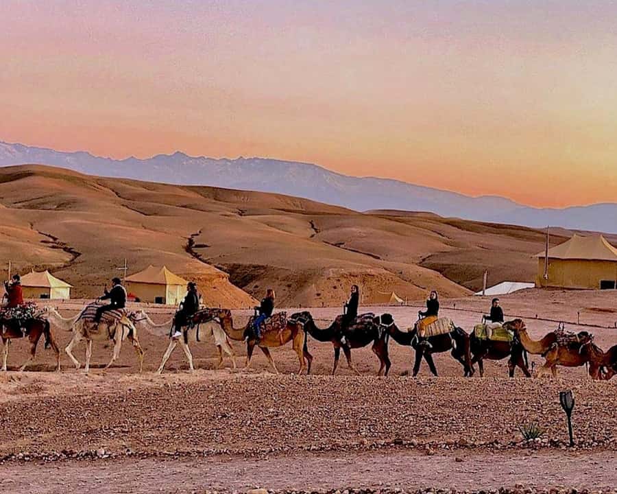 Marrakech: Agafay Desert Camel Rides, Dinner and Fire Show - Music, Berber dancing, and fire after dark