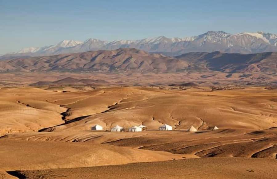 Marrakech: Agafay Desert Dinner and Sunset Camel Ride Trip - Who will enjoy this outing most
