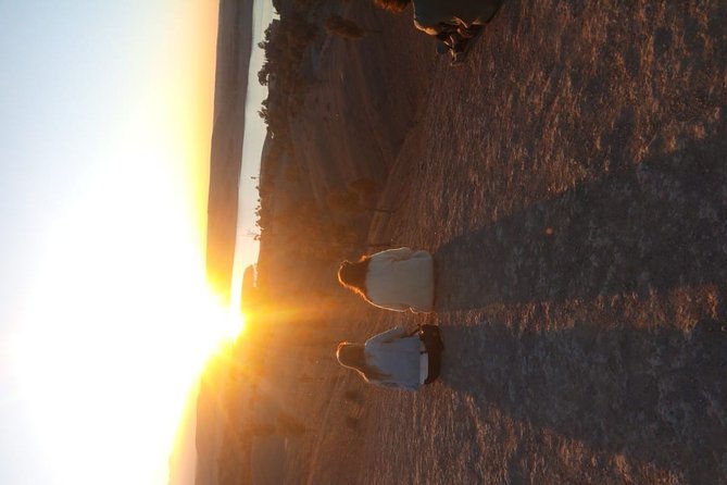 Marrakech: Agafay Desert Dinner, Camel Ride & Quad Biking. - Dinner under the stars