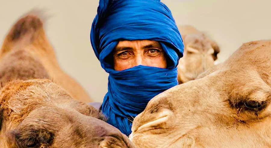 Marrakech: Agafay Desert Dinner, Camel Ride, & Show - The 20-minute camel ride at sunset