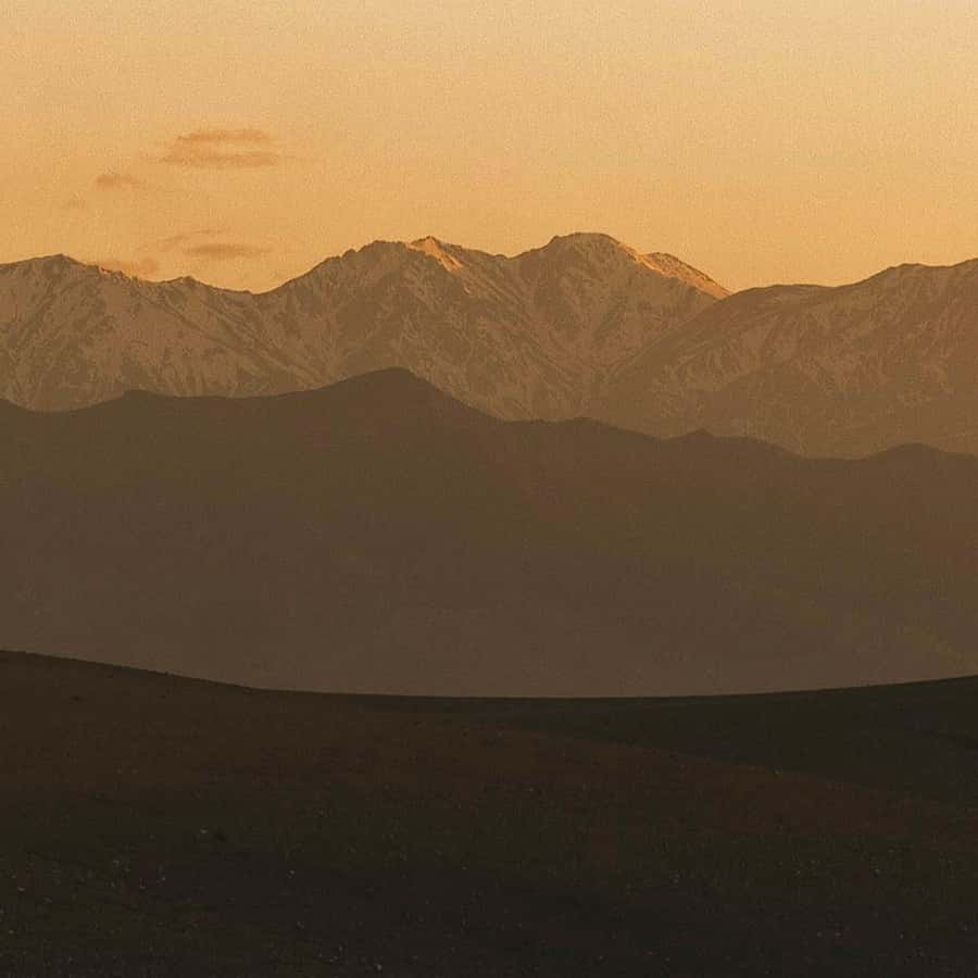 Marrakech: Agafay Desert Dinner, Camel Ride, & Show - Who will get the most from this tour