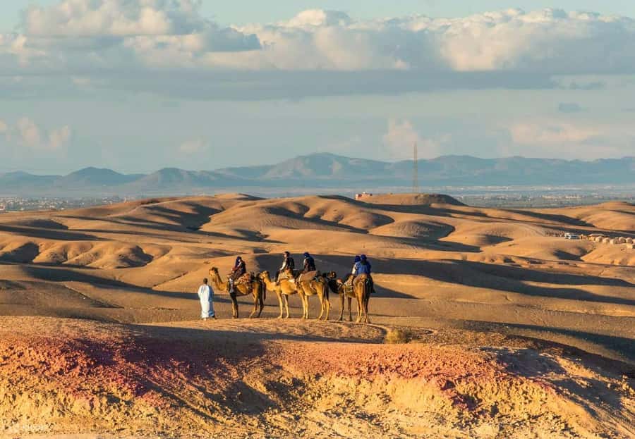 Marrakech: Agafay Desert Dinner Show with Quad Bike & Camel - What the $22 price really buys you