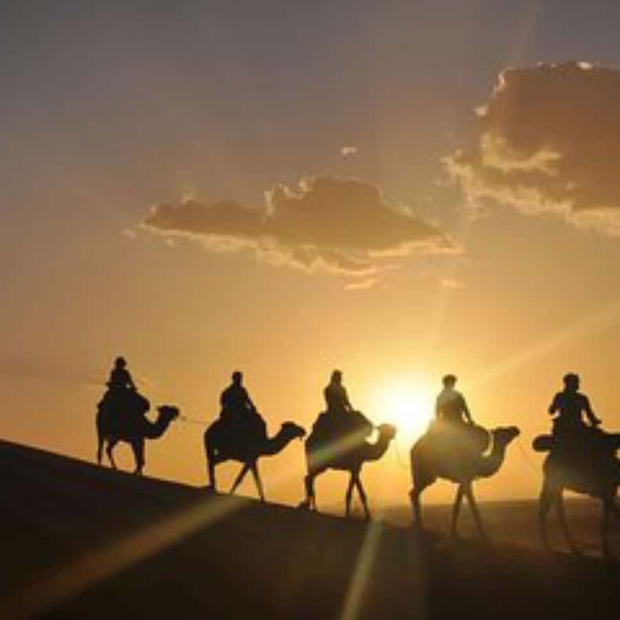 Marrakech: Agafay Desert Dinner with Music and Fire Show - Who will get the most from this evening