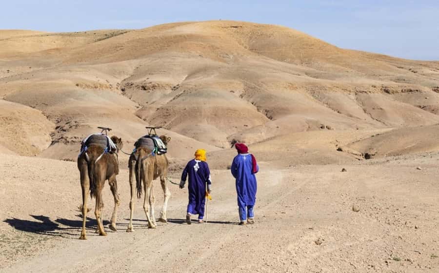 Marrakech: Agafay Desert, Lunch, Camel Ride, & Swimming Pool - The camel ride is calm, short, and optional