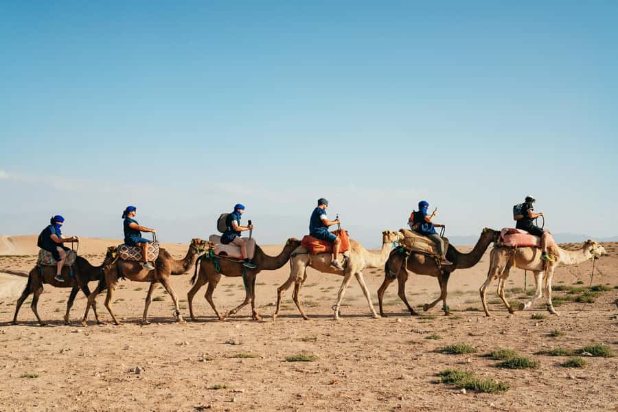 Marrakech: Agafay Desert Pool, Dinner & Live Show Experience - Who will enjoy this evening most