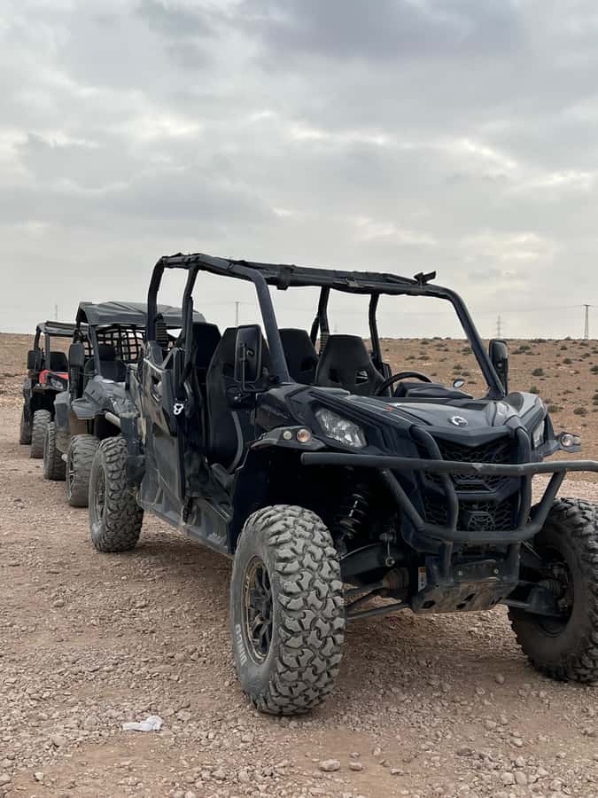 Marrakech: Agafay Desert Quad Bike & Camel Ride with Dinner - Who will enjoy this Agafay evening