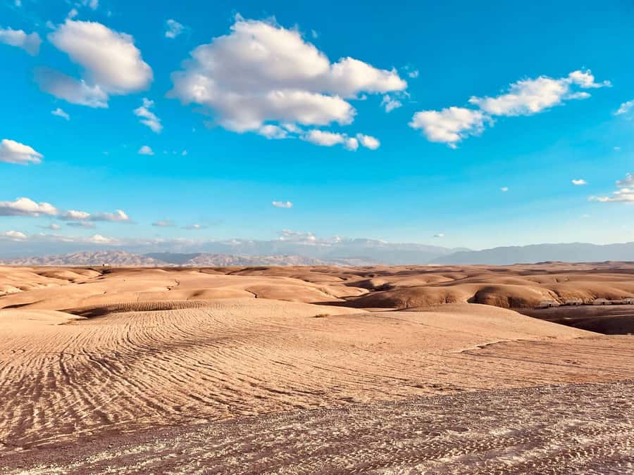 Marrakech: Agafay Desert Quad Bike Tour with Moroccan Tea - Riding the rolling dunes for 60 to 90 minutes