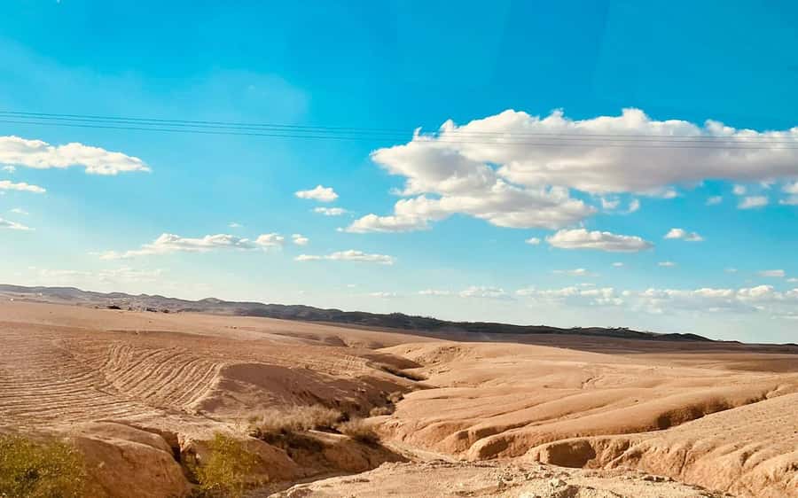 Marrakech: Agafay Desert Quad Bike Tour with Moroccan Tea - Who should book this Agafay outing?