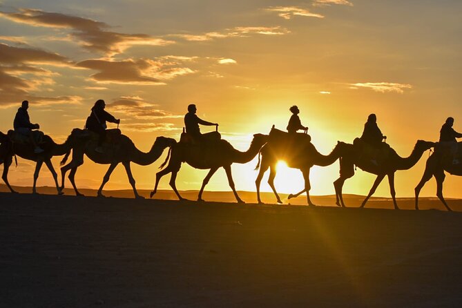 Marrakech: Agafay Desert Quad Biking & Camel Trek & Dinner & Show - Key points to know before booking