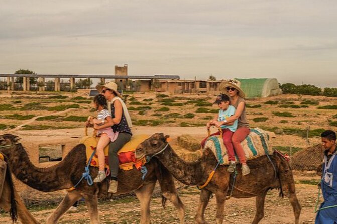 Marrakech: Agafay Desert Quad Biking & Camel Trek & Dinner & Show - A 20-minute camel ride in Agafay