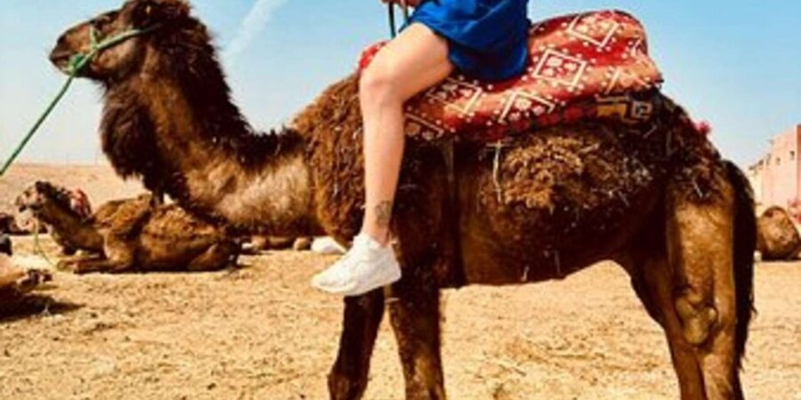 Marrakech: Agafay Desert Quad Biking with Dinner Show - Is $26 good value?