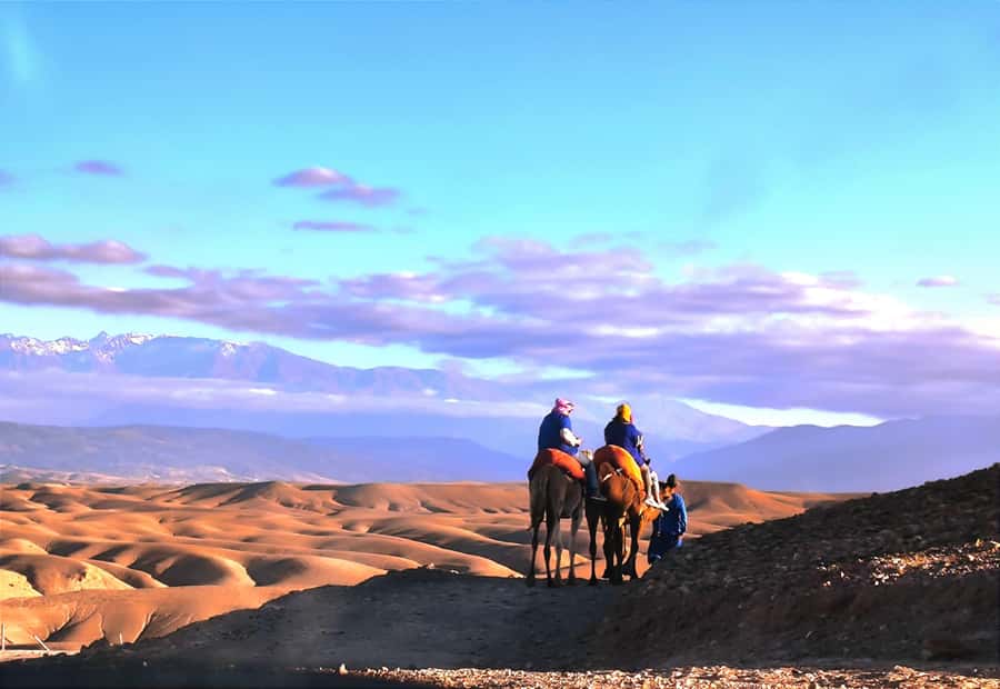 Marrakech: Agafay Desert Quad, Camel or Pool Day with Lunch - Two pools and a mint tea welcome
