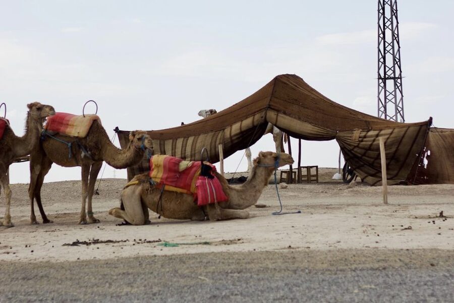 Marrakech: Agafay Desert Quad, Camel or Pool Day with Lunch - Music, fire, and a lively Moroccan finale