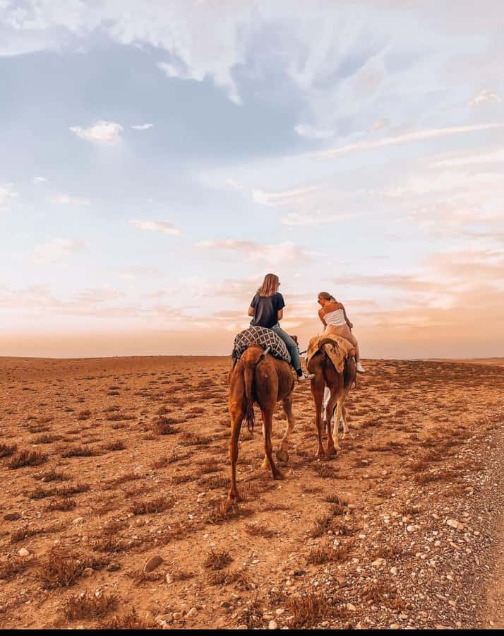 Marrakech: Agafay Desert Quad, Camel Ride & Dinner Show - FAQ
