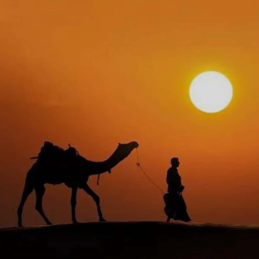 Marrakech: Agafay Desert Quad & Camel Rides with Dinner Show - Agafay is a rocky desert escape from Marrakech
