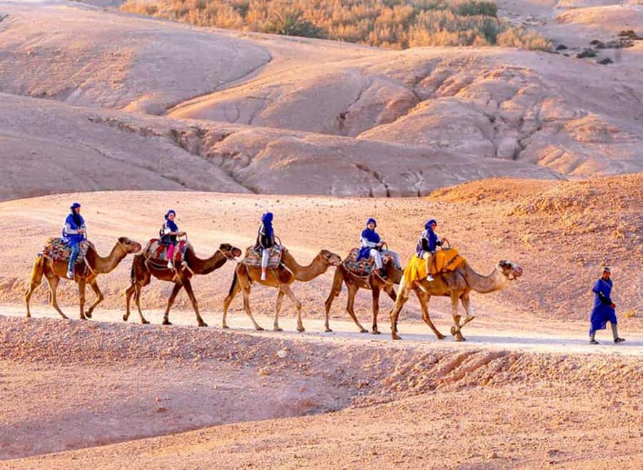 Marrakech: Agafay Desert Quad & Camel Rides with Dinner Show - Quad biking across the desert tracks