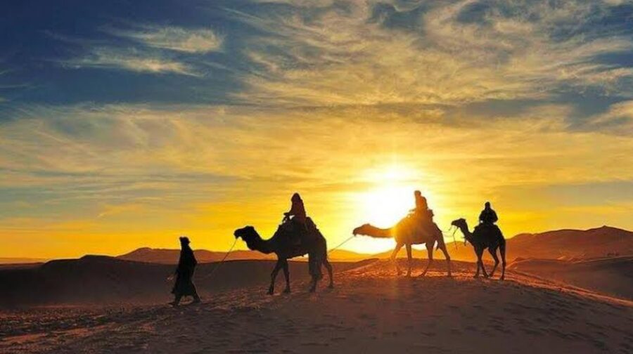 Marrakech: Agafay Desert Sunset, Camel Ride, and Dinner Show - Who should book this Agafay evening?