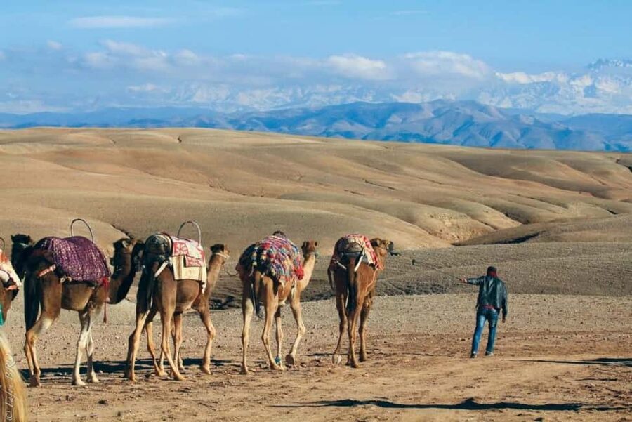 Marrakech: Agafay Desert Sunset, Camel Ride, Dinner and Show - What makes this Agafay evening worth your time