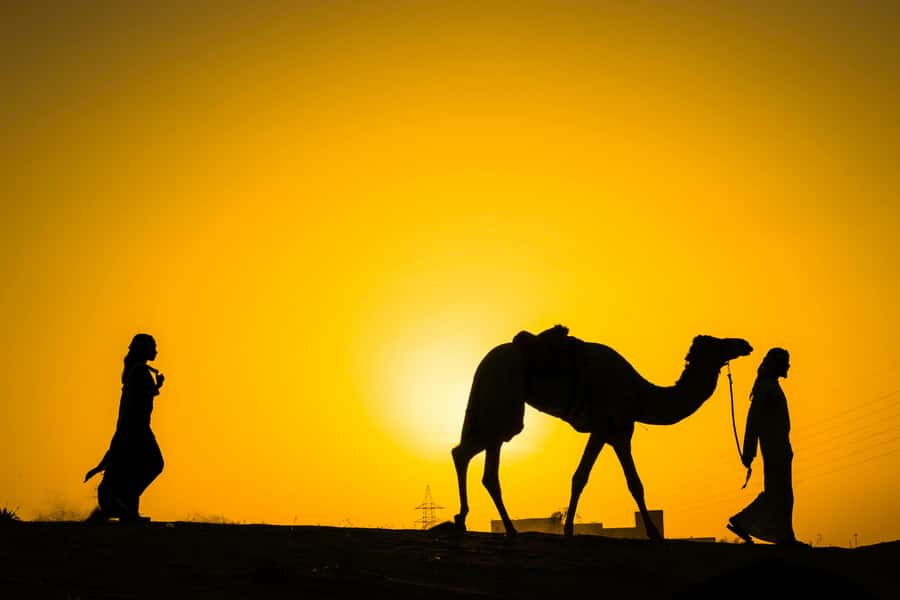 Marrakech : Agafay Desert Sunset Camel Ride & Luxury Dinner - A short camel ride during golden hour