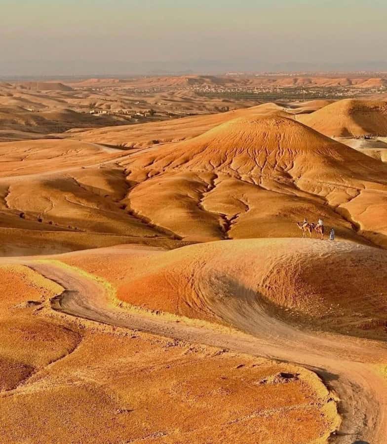 Marrakech : Agafay Desert Sunset Camel Ride & Luxury Dinner - Argan oil and a traditional cooperative stop