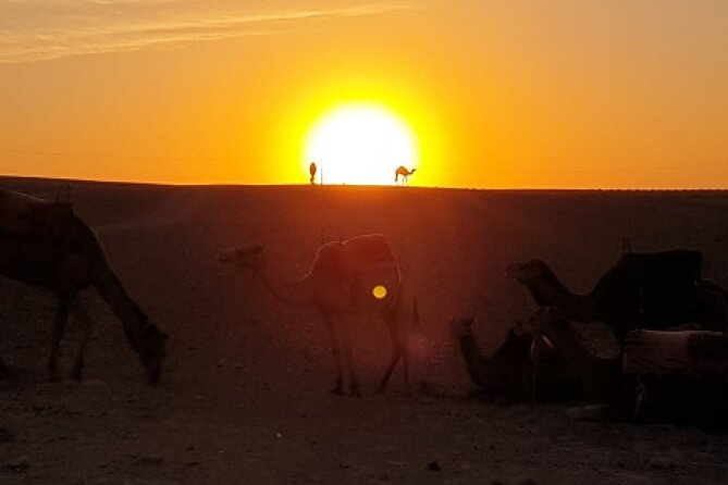 Marrakech: Agafay Desert Tour with Quad, Camel Ride & Dinner - What the $32.96 price really covers
