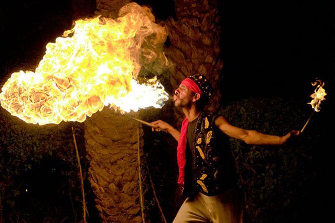 Marrakech: Agafay Desert Tour with Quad, Camel Ride & Dinner - An hour on the quad gives the outing its energy