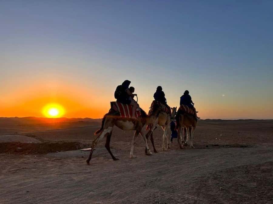 Marrakech: Agafay Desert Trip with Activities and Dinner - Quad biking brings the real burst of speed