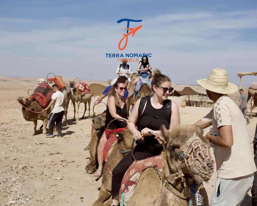 Marrakech: Agafay Dinner Show with Quad/Camel Ride and Pool - Moroccan dinner under the stars