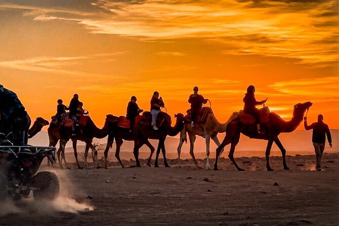 Marrakech Agfay Desert Camel Ride and Dinner Show - A 20-minute camel ride across Agafay