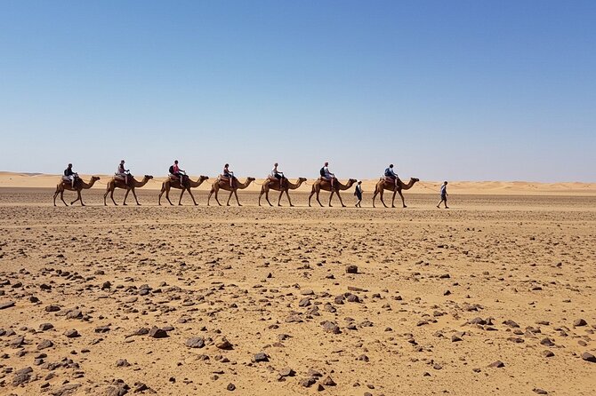 Marrakech Agfay Desert Camel Ride and Dinner Show - Dinner built around tajine and couscous