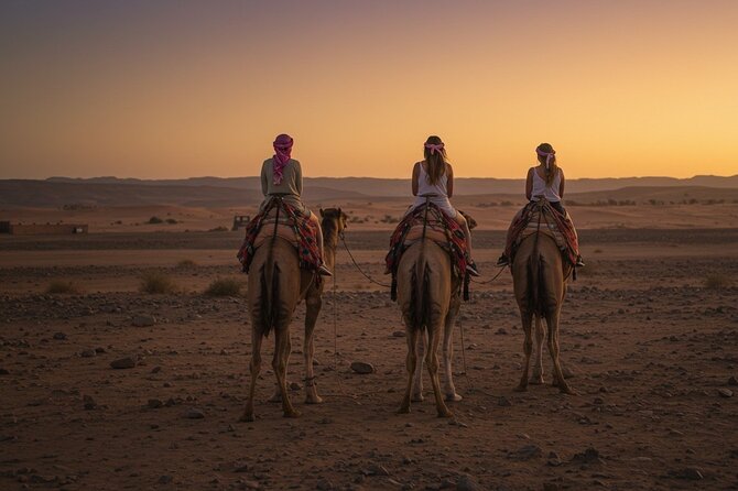 Marrakech Agfay Desert Camel Ride and Dinner Show - What $34.31 buys you