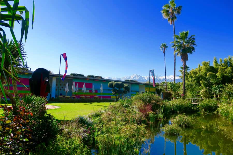 Marrakech: André Heller's ANIMA Garden Ticket - ANIMA compared with other Marrakech gardens
