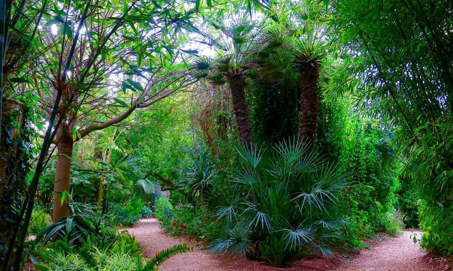 Marrakech: André Heller's ANIMA Garden Ticket - Walking through the art and planting