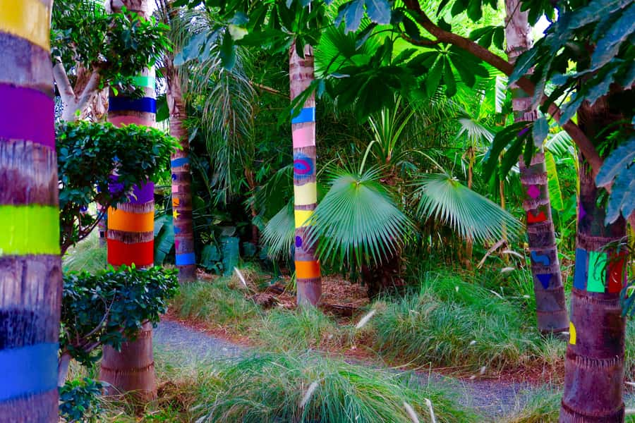 Marrakech: André Heller's ANIMA Garden Ticket - The Atlas Mountains from the cafe terrace