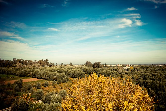 Marrakech Atlas day trip - Who will enjoy this Atlas Mountains day trip?