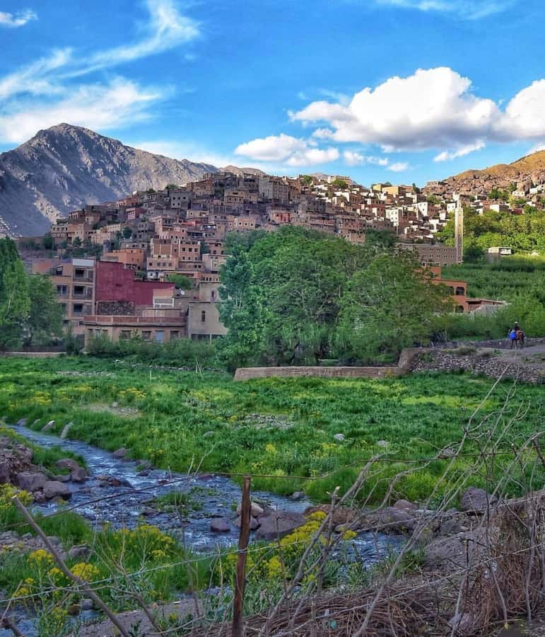 Marrakech: Atlas Mountain, Berber Villages, & Valleys Tour - Meeting your guide in Imlil