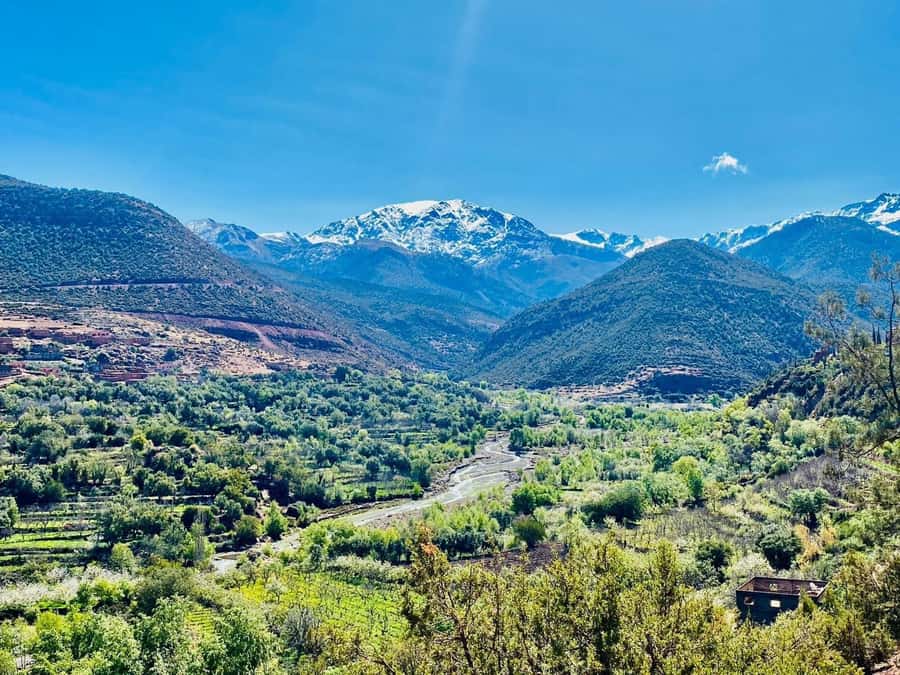 Marrakech: Atlas Mountain, Berber Villages, & Valleys Tour - The Agafay Desert and the camel ride